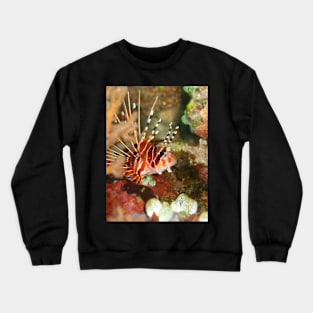 I spy a lionfish Crewneck Sweatshirt